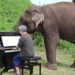 Un piano pour des éléphants aveugles