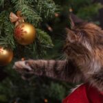 Assurer la Sécurité de votre Sapin de Noël Face à vos Animaux de Compagnie